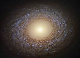 We did not find results for: Hubble Spots Feathered Spiral Galaxy Ngc 2775 Spaceref