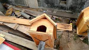 Tahukah kalian burung hantu adalah teman petani karena dia dapat memangsa hama pengganggu tikus yang merupakan musuh petani. Cara Buat Rumah Burung Hantu Simple Mudah Kuat Teman Petani Widarapayung Wetan Youtube