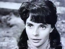 Watch Rawhide Online