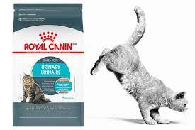 Royal canin urinary care has proven effects in improving your cats urinary health in just 10 days, helping support urinary tract health with adapted royal canin urinary care 4 7. New Royal Canin Cat Food Diet To Support Urinary Health 2020 07 09 Pet Food Processing