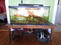 Poor maintenance leads to health issues, foul odors, cloudy water and tank stains. Turtle Tank Bog Filter Tales Of A Plant Geek