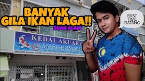 Jadual shah alam doa islam, subuh, tengah hari, petang, maghribi dan makan malam. Kedai Akuarium Sa Fish World Yee Hao Aquatic Shah Alam First Time Survey2 Ikan Laga Youtube