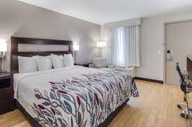 Maybe you would like to learn more about one of these? Cheap Pet Friendly Hotels In St George Sc Red Roof Inn