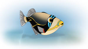 When the trial quietly lapsed in 1990, no action was taken to either reinstate it or designate a new species. Pbs Hawai I