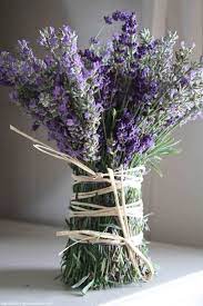 Pin En Lavender World