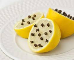 Remede De Grand Mere Repulsif A Mouches Et Moustiques Contre Les Mouches Moustique Repulsif