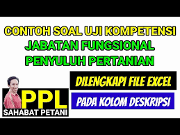 Contoh Soal Uji Kompetensi Jabatan Penyuluh Pertanian Youtube