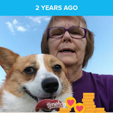 Not my Corgi but a friend's Corgi. Mae