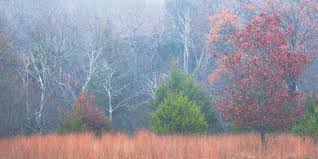 The Lone Star State of Photography With Michael Rung — David Johnston  Photography