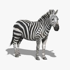 Pin On 3d Assets
