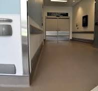 Comprehensive Coverage: Your Ultimate Wall Guard Resource ...