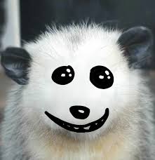 Hey Pandas, Draw A Face For This Opossum (Closed)