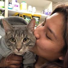 BEST of Oyster Bay, NY Cheap Veterinarians