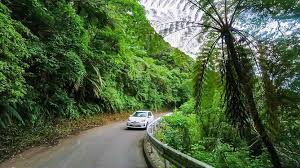 Buy tickets more info >. Amami Oshima Travel Access Orientation And Transportation