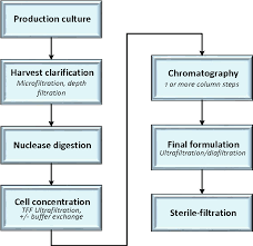 Figure 6 From Gene Therapy Semantic Scholar