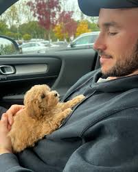 Life Lately… 1. ☕️ 2. New best friend 🐶 3. Turning up to Let it Roll