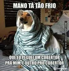 64 Ideias De Frio Em 2021 Frases De Frio Engracadas Mensagem De Friozinho Engracado