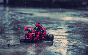 خلفيات عالية الدقة مختارة مع هطول المطر مداد الجليد rain wallpapers camera wallpaper no rain no flowers