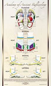 foot reflexology poster