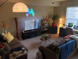 A Guy Room First Apartment Decorating Home Room Design Living Room Decor Apartment