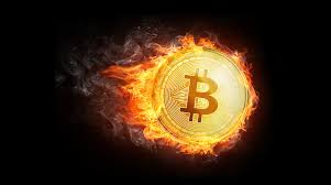 Der bitcoin ist seit heute in el salvador für die 6,5 millionen einwohner offizielles zahlungsmittel. Hochster Kurs Seit Mai Bitcoin Scheitert Nur Knapp An 58 000 Dollar