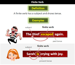 Rather, it is an infinitive and depends on the main (finite) verb runs. Finite Verbs What Are Finite Verbs