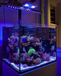 Tetra 29234 half moon 10 gallon there is a flow control sliding bar on the top of the filter for you to adjust the output water speed to. 10 Topnotch Tanks That You Wish You Had Orphek Reef Led Lights