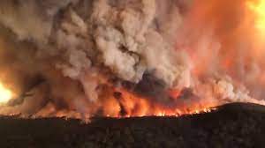 In Australia Uncontrollable Fires Are Continuing To Rage Across The Continent Officials Are Warning Residents Near The Cap Australia Greenhouse Gases Animals
