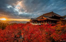 It really is a spectacular sight that is build into a slope, offering beautiful views of nature from the top. Wallpaper Japan Japan Kyoto Kiyomizu Dera Temple Autumn Trees Images For Desktop Section Pejzazhi Download