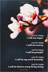 We use infrared radiant heat. Just For Today Reiki Principles Blossom Theme Blank Lined Notebook For Your Reiki Practice Meditation And Energy Healing Lilynotes 9798605315780 Amazon Com Books