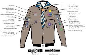 Explorer badge positioning | Gillingham Scouts