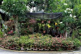 Ini merupakan idea pengetua sendiri tuan. Dekorasi Landskap Taman Mini Simple