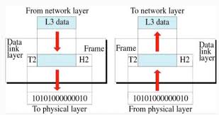 • in frame relay network, there are no acknowledgements sent from the • the address field defines the dlci along with some other bits required for congestion control and traffic. Functions Of Data Link Layer In The Osi Model Computer Networks