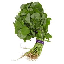 We did not find results for: Grosir Sayur Daun Bayam Segar Per Ikat Murah Shopee Indonesia