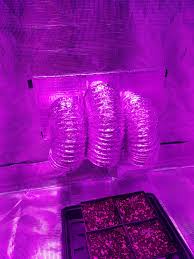 Pvc elbows x12 (light traps for passive air intake, spray paint interior black). Easy Light Trap For Grow Tent Intakes Grasscity Forums The 1 Marijuana Community Online