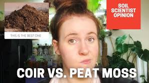 Peat Moss vs Coco Coir: the Ugly Truth