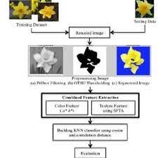 In this example, we performed a classification task for 102 species of plants using images of their flowers. Proposed Method Of Flower Classification Using Combined Color And Texture Download Scientific Diagram