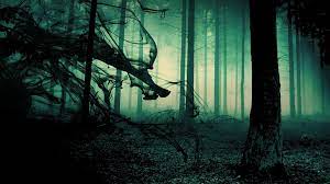 General 1920x1080 Green Forest Smoke Shadow Trees Creepy Grass Mist Scary Wallpaper Nature Tree Night Forest