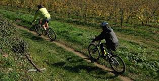 Book online, pay at the hotel. Weintourismus Franciacorta