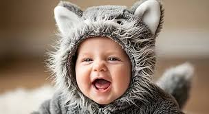 Cute Wolf Baby Background Images, HD Pictures and Wallpaper For Free  Download