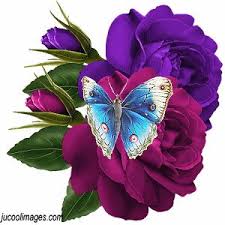 We did not find results for: 100 Animation 3 Ideas Animation Beautiful Flowers Flowers