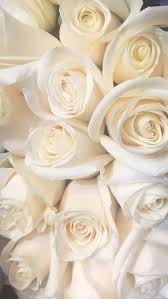 Pin By Desy Faradila On Flowers White Roses Wallpaper Flower Phone Wallpaper Beautiful Flowers