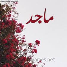 ماجد شكل 18 صوره الورد الأحمر للإسم بخط رقعة كتابة على الورد 2021