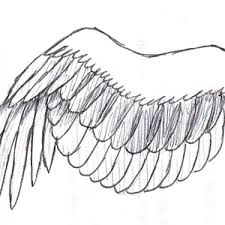 To fully understand how to draw wings realistically in every position you need to first learn how they work and what's the purpose of their shape. How To Draw A Simple Bird Wing Step By Step Drawing Guide By Phoenixcelestius Dragoart Com