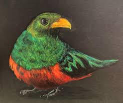 I Drew This Quetzal For My Mom Using One Of Joel Sartore S Photo Ark Photos As A Reference Colored Pencil Drawing Sweepangle means the angle between two lines. reddit