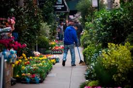 Maybe you would like to learn more about one of these? New York S Flower District Is Next As Manhattan S Old Markets Vanish Albuquerque Journal