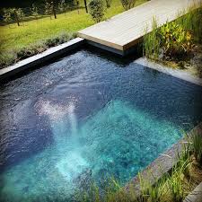 Natural Pools Connecticut Naturschwimmbader Naturschwimmbecken Gartenpools