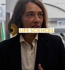 DIANA: studiare farmaci per il cervello con una piattaforma miniaturizzata 