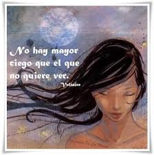 Frases De Voltaire Para Ser Mas Inteligente Y Mejor Persona Taringa Spanish Quotes With Translation Spanish Quotes Mother Quotes