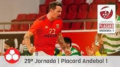 Conta oficial da federação de andebol de portugal #heróisdomar #fazeracontecer www.fpa.pt. En6pseaajht41m